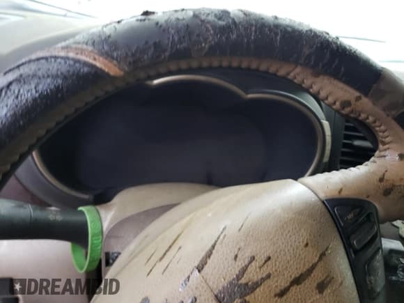 ✅ 2017 Nissan Quest SV • VIN: JN8AE2KP6H9167809 • Lot: 71446372. Wystawiony na Copart z przebiegiem Nie podano. Bezpłatny archiwum sprzedaży aukcyjnych z USA i szczegółowy raport historii pojazdu na DreamBid. Zdjęcie 9.