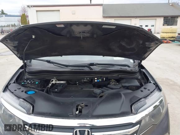 ✅ 2017 Honda Pilot EX-L • VIN: 5FNYF6H52HB024950 • Lot: 42051084. Listed on IAAI with Not provided. Free auction sales archive from the USA and detailed vehicle history report at DreamBid. Image 10.