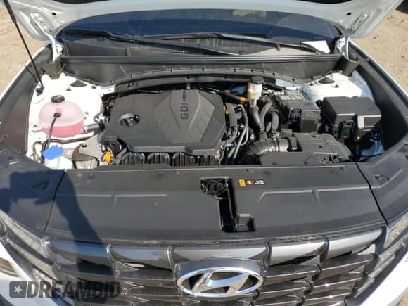 ✅ 2024 Hyundai Tucson SEL • VIN: 5NMJFCDE3RH376781 • Lot: 71497034. Wystawiony na Copart z przebiegiem 6 234 mil. Bezpłatny archiwum sprzedaży aukcyjnych z USA i szczegółowy raport historii pojazdu na DreamBid. Zdjęcie 11.