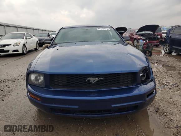 ✅ 2009 Ford Mustang • VIN: 1ZVHT80N395127410 • Lot: 80340174. Listed on Copart with 141,224 mi. Free auction sales archive from the USA and detailed vehicle history report at DreamBid. Image 5.
