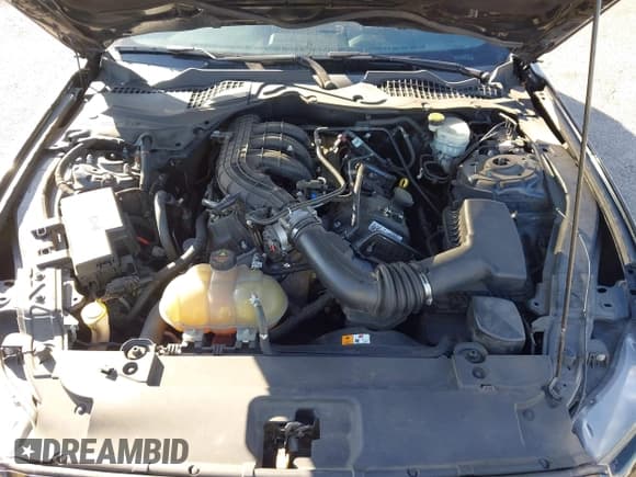 ✅ 2016 Ford Mustang V6 • VIN: 1FA6P8AM4G5284189 • Lot: 43599290. Listed on IAAI with 66,830 mi. Free auction sales archive from the USA and detailed vehicle history report at DreamBid. Image 10.