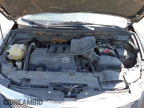 ✅ 2008 Mazda CX-9 Sport • VIN: JM3TB28A680161777 • Lot: 42951776. Wystawiony na IAAI z przebiegiem 268 671 mil. Bezpłatny archiwum sprzedaży aukcyjnych z USA i szczegółowy raport historii pojazdu na DreamBid. Zdjęcie 10.