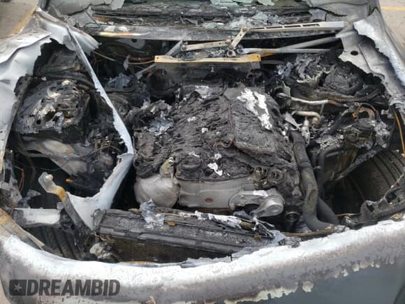 ✅ 2009 Audi Q7 Premium Plus • VIN: WA1AY74L69D028475 • Lot: 60700444. Listed on Copart with Not provided. Free auction sales archive from the USA and detailed vehicle history report at DreamBid. Image 12.