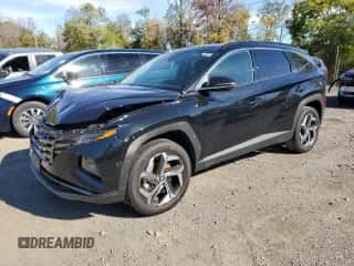 2024 Hyundai Tucson Limited z VIN 5NMJECDE4RH329259, wystawiony jako Copart lot #87274115 z przebiegiem 37 121 mil mil oraz Szkoda całkowita • Salvage title. Historia ofert i sprzedaży dostępna na DreamBid. Obrazek 1.