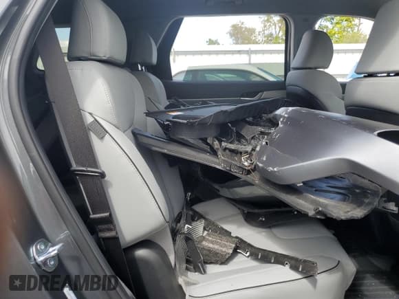 ✅ 2025 Hyundai Palisade SEL • VIN: KM8R2DGE5SU954292 • Lot: 71776685. Wystawiony na Copart z przebiegiem 1 229 mil. Bezpłatny archiwum sprzedaży aukcyjnych z USA i szczegółowy raport historii pojazdu na DreamBid. Zdjęcie 11.