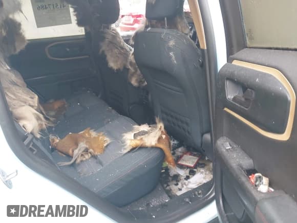 ✅ 2024 Ford Bronco Sport Heritage • VIN: 3FMCR9G61RRE62609 • Lot: 41517486. Listed on IAAI with Not provided. Free auction sales archive from the USA and detailed vehicle history report at DreamBid. Image 8.