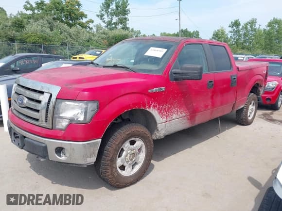 ✅ 2010 Ford F-150 XL • VIN: 1FTFW1EV8AFD44953 • Lot: 42868503. Listed on IAAI with 282,506 mi. Free auction sales archive from the USA and detailed vehicle history report at DreamBid. Image 2.