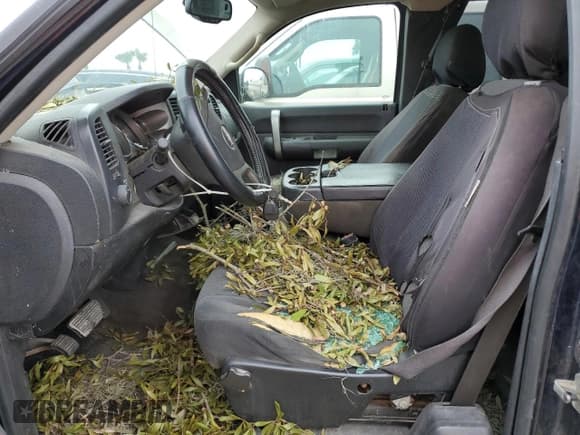 ✅ 2008 Chevrolet Silverado 1500 1LT • VIN: 1GCEC19J48Z126805 • Lot: 76604974. Listed on Copart with 205,106 mi. Free auction sales archive from the USA and detailed vehicle history report at DreamBid. Image 7.