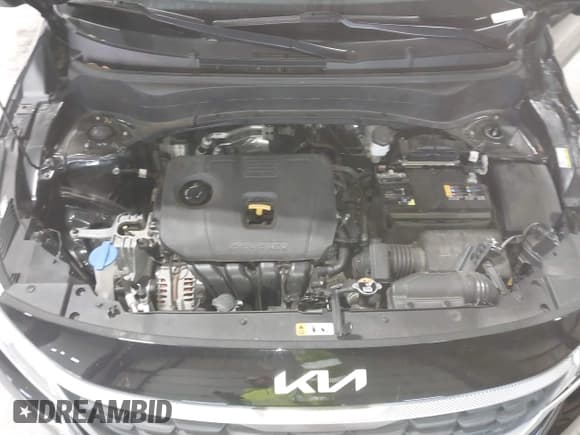 ✅ 2023 Kia Seltos LX • VIN: KNDEPCAA9P7374411 • Лот: 43614389. Опубликован ранее на IAAI с пробегом 48 159 миль. Бесплатный доступ к архиву аукционных продаж из США и подробный отчёт об истории автомобиля на DreamBid. Изображение 10.