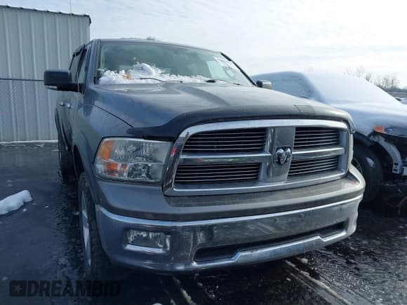 ✅ 2010 Dodge 1500 SLT • VIN: 1D7RV1GT3AS198566 • Lot: 43807070. Listed on IAAI with 119,986 mi. Free auction sales archive from the USA and detailed vehicle history report at DreamBid. Image 1.