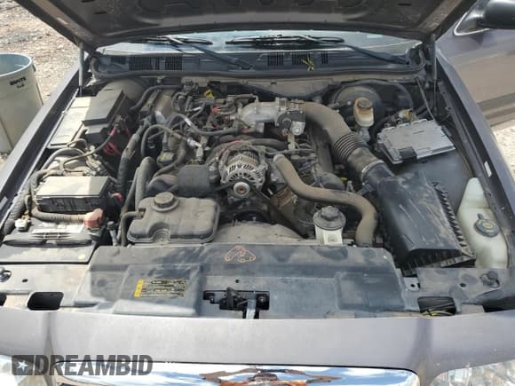 ✅ 2009 Ford Police Interceptor • VIN: 2FAHP71V99X118876 • Lot: 59414875. Listed on Copart with 120,351 mi. Free auction sales archive from the USA and detailed vehicle history report at DreamBid. Image 11.