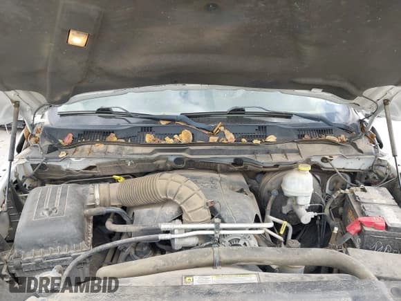 ✅ 2010 Dodge 1500 SLT • VIN: 1D7RV1CTXAS254072 • Lot: 43477450. Wystawiony na IAAI z przebiegiem 186 576 mil. Bezpłatny archiwum sprzedaży aukcyjnych z USA i szczegółowy raport historii pojazdu na DreamBid. Zdjęcie 10.