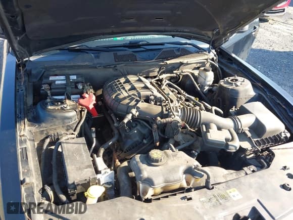 ✅ 2011 Ford Mustang V6 • VIN: 1ZVBP8AM8B5148727 • Lot: 42982170. Listed on IAAI with 124,948 mi. Free auction sales archive from the USA and detailed vehicle history report at DreamBid. Image 10.