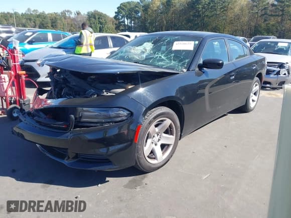 ✅ 2018 Dodge Charger Police • VIN: 2C3CDXAT7JH144133 • Lot: 43520659. Wystawiony na IAAI z przebiegiem 80 566 mil. Bezpłatny archiwum sprzedaży aukcyjnych z USA i szczegółowy raport historii pojazdu na DreamBid. Zdjęcie 2.