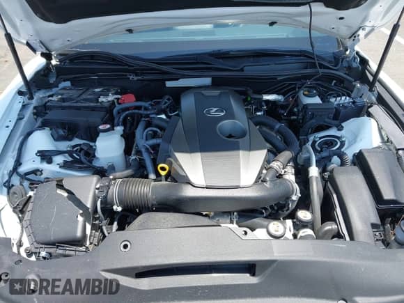 2024 Lexus IS 300 с VIN JTHBA1D2XR5131510, выставлен на аукционе IAAI как лот 42607201 с пробегом 10 580 миль миль и . История ставок и продаж доступна на DreamBid. Изображение 10.