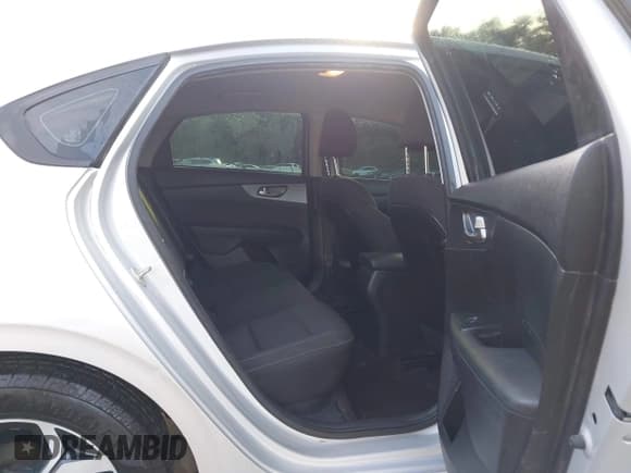 ✅ 2020 Kia Forte LXS • VIN: 3KPF24ADXLE215524 • Лот: 43098378. Опубликован ранее на IAAI с пробегом 125 509 миль. Бесплатный доступ к архиву аукционных продаж из США и подробный отчёт об истории автомобиля на DreamBid. Изображение 8.