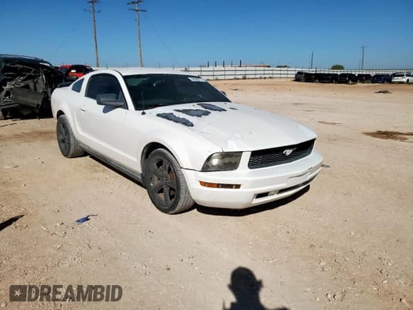 ✅ 2007 Ford Mustang Deluxe • VIN: 1ZVFT80N875288095 • Lot: 84260275. Listed on Copart with 93,204 mi. Free auction sales archive from the USA and detailed vehicle history report at DreamBid. Image 4.