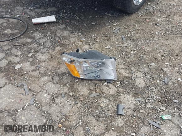 ✅ 2010 Dodge 1500 SLT • VIN: 1D7RB1CT2AS121461 • Lot: 42615319. Listed on IAAI with 225,700 mi. Free auction sales archive from the USA and detailed vehicle history report at DreamBid. Image 12.