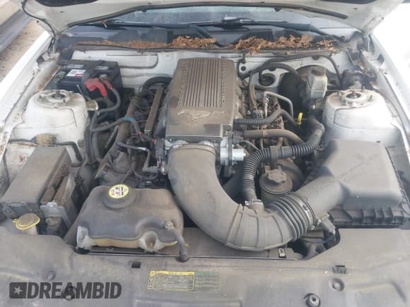 ✅ 2010 Ford Mustang GT • VIN: 1ZVBP8CH2A5126267 • Лот: 43183927. Опубликован ранее на IAAI с пробегом 197 601 миль. Бесплатный доступ к архиву аукционных продаж из США и подробный отчёт об истории автомобиля на DreamBid. Изображение 10.