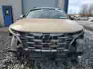 2024 Hyundai Santa Cruz Limited с VIN 5NTJEDAF3RH098121, выставлен на аукционе Copart как лот 43747085 с пробегом 20 545 миль миль и Чистый • Clean title. История ставок и продаж доступна на DreamBid. Изображение 5.