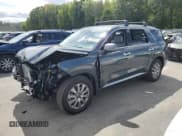 ✅ 2025 Hyundai Palisade SEL • VIN: KM8R2DGE5SU954292 • Lot: 71776685. Wystawiony na Copart z przebiegiem 1 229 mil. Bezpłatny archiwum sprzedaży aukcyjnych z USA i szczegółowy raport historii pojazdu na DreamBid. Zdjęcie 1.