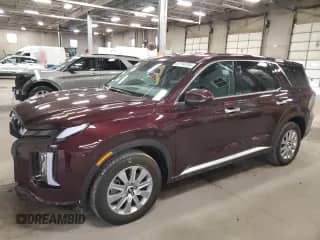 2023 Hyundai Palisade SE с VIN KM8R1DGE1PU554143, выставлен на аукционе Copart как лот 51714705 с пробегом 32 152 миль миль и Списание • Salvage title. История ставок и продаж доступна на DreamBid. Изображение 1.