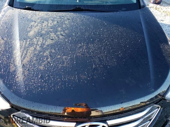 ✅ 2015 Hyundai Santa Fe • VIN: 5XYZW4LA6FG294122 • Лот: 80098563. Опубликован ранее на Copart с пробегом Не указан. Бесплатный доступ к архиву аукционных продаж из США и подробный отчёт об истории автомобиля на DreamBid. Изображение 12.