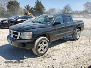 2008 Dodge Dakota Bighorn/Lonestar with VIN 1D7HE38K18S621586, listed as a Copart auction lot 50842495 with 230,002 mi miles and Salvage title. Bid and sale history available at DreamBid. Image 1.