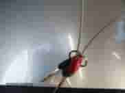 2006 Hyundai Accent GLS z VIN KMHCN46C06U009303, wystawiony jako IAAI lot #43556898 z przebiegiem 186 268 mil mil oraz . Historia ofert i sprzedaży dostępna na DreamBid. Obrazek 11.