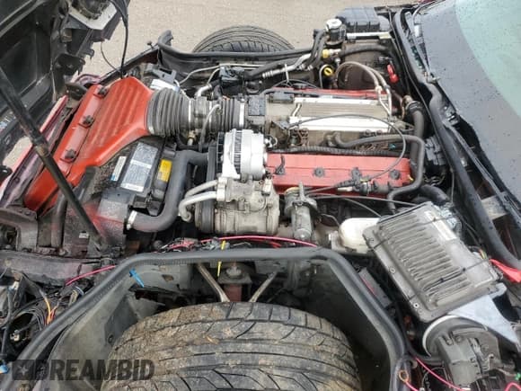 ✅ 1995 Chevrolet Corvette • VIN: 1G1YY22P9S5110447 • Lot: 66188005. Wystawiony na Copart z przebiegiem Nie podano. Bezpłatny archiwum sprzedaży aukcyjnych z USA i szczegółowy raport historii pojazdu na DreamBid. Zdjęcie 11.