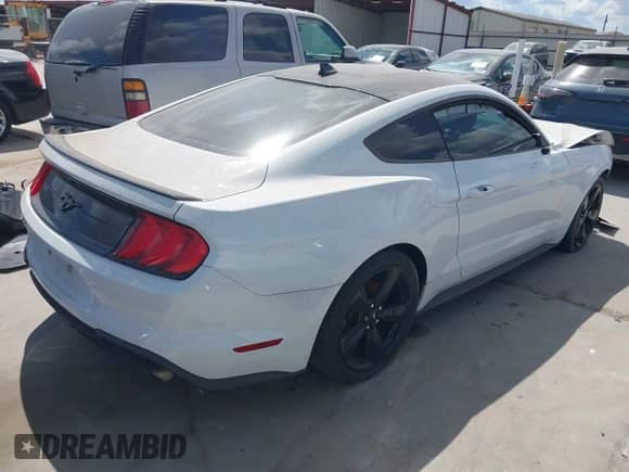 2021 Ford Mustang EcoBoost с VIN 1FA6P8TH7M5144987, выставлен на аукционе IAAI как лот 43320415 с пробегом 48 528 миль миль и . История ставок и продаж доступна на DreamBid. Изображение 4.