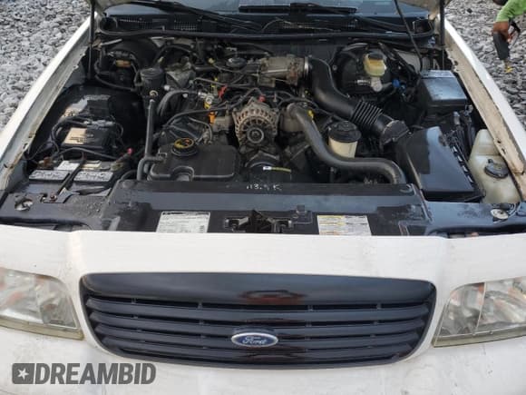 ✅ 1999 Ford Crown Victoria Police • VIN: 2FAFP71W4XX178478 • Lot: 71813314. Wystawiony na Copart z przebiegiem 207 956 mil. Bezpłatny archiwum sprzedaży aukcyjnych z USA i szczegółowy raport historii pojazdu na DreamBid. Zdjęcie 12.