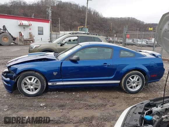 ✅ 2009 Ford Mustang GT • VIN: 1ZVHT82HX95119781 • Лот: 41482288. Опубликован ранее на IAAI с пробегом 70 757 миль. Бесплатный доступ к архиву аукционных продаж из США и подробный отчёт об истории автомобиля на DreamBid. Изображение 14.