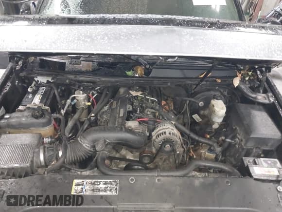 ✅ 2007 Cadillac Escalade • VIN: 1GYFK63877R202231 • Lot: 43509642. Wystawiony na IAAI z przebiegiem Nie podano. Bezpłatny archiwum sprzedaży aukcyjnych z USA i szczegółowy raport historii pojazdu na DreamBid. Zdjęcie 10.