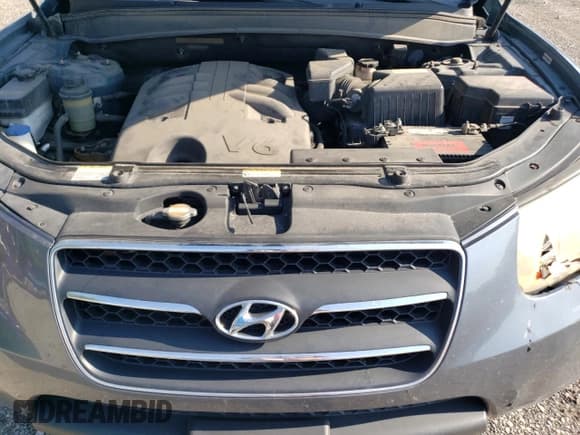 ✅ 2009 Hyundai Santa Fe SE • VIN: 5NMSH13E19H241447 • Lot: 62631825. Listed on Copart with 131,596 mi. Free auction sales archive from the USA and detailed vehicle history report at DreamBid. Image 11.