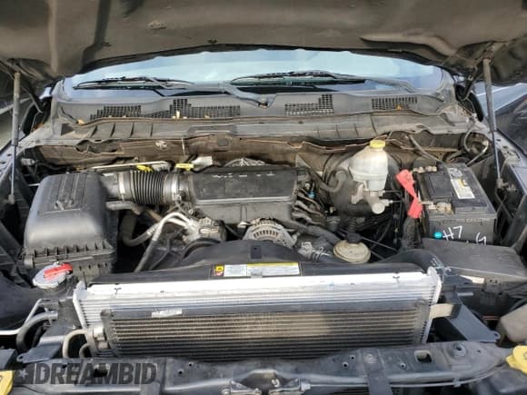 ✅ 2010 Dodge 1500 SLT • VIN: 1D7RB1GP0AS179985 • Lot: 84605334. Wystawiony na Copart z przebiegiem 221 256 mil. Bezpłatny archiwum sprzedaży aukcyjnych z USA i szczegółowy raport historii pojazdu na DreamBid. Zdjęcie 12.