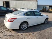 ✅ 2009 Nissan Maxima SV • VIN: 1N4AA51E09C850060 • Lot: 67098735. Wystawiony na Copart z przebiegiem 189 263 mil. Bezpłatny archiwum sprzedaży aukcyjnych z USA i szczegółowy raport historii pojazdu na DreamBid. Zdjęcie 3.