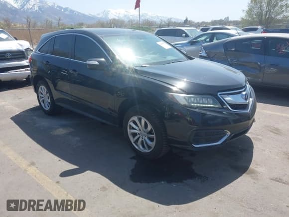 ✅ 2017 Acura RDX Technology • VIN: 5J8TB3H56HL014036 • Lot: 41980079. Wystawiony na IAAI z przebiegiem 124 683 mil. Bezpłatny archiwum sprzedaży aukcyjnych z USA i szczegółowy raport historii pojazdu na DreamBid. Zdjęcie 1.
