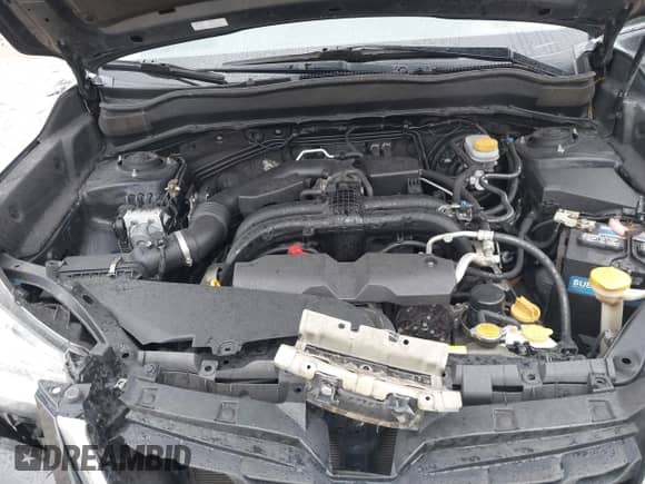 2017 Subaru Forester Limited with VIN JF2SJAJC1HH491617, listed as a IAAI auction lot 41267746 with 151,388 mi miles and . Bid and sale history available at DreamBid. Image 10.