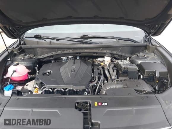 ✅ 2023 Hyundai Tucson Limited • VIN: 5NMJECAE4PH226859 • Lot: 43432080. Listed on IAAI with 10,802 mi. Free auction sales archive from the USA and detailed vehicle history report at DreamBid. Image 10.