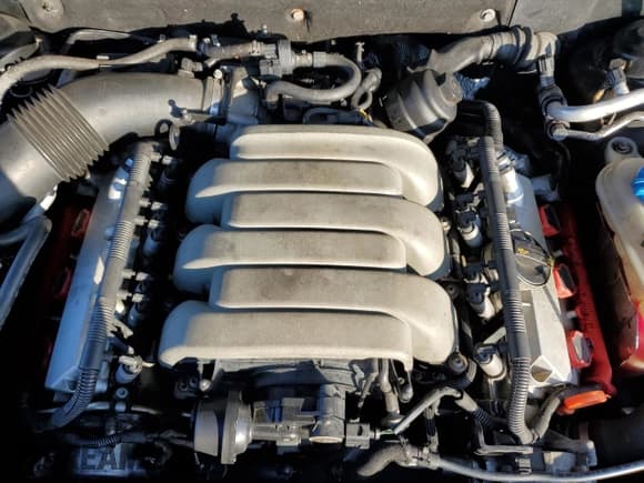 ✅ 2009 Audi A5 • VIN: WAUDK78T69A039649 • Lot: 93032165. Wystawiony na Copart z przebiegiem 85 439 mil. Bezpłatny archiwum sprzedaży aukcyjnych z USA i szczegółowy raport historii pojazdu na DreamBid. Zdjęcie 11.