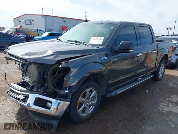 ✅ 2019 Ford F-150 XL • VIN: 1FTEW1C5XKKF31974 • Lot: 42465378. Listed on IAAI with 62,217 mi. Free auction sales archive from the USA and detailed vehicle history report at DreamBid. Image 2.