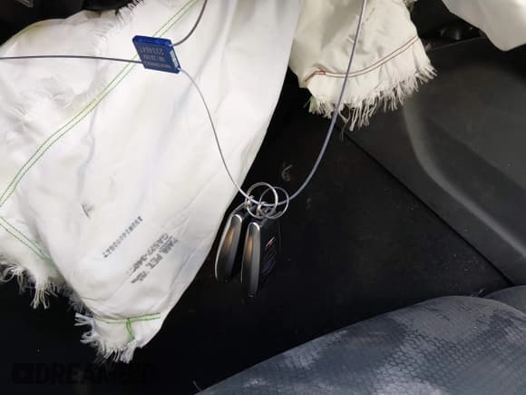 ✅ 2024 Subaru Outback Wilderness • VIN: 4S4BTGUD3R3235831 • Lot: 43474035. Wystawiony na IAAI z przebiegiem Nie podano. Bezpłatny archiwum sprzedaży aukcyjnych z USA i szczegółowy raport historii pojazdu na DreamBid. Zdjęcie 11.