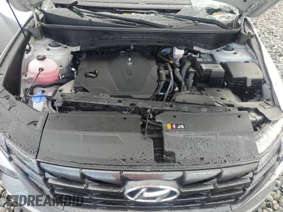 2024 Hyundai Tucson SEL with VIN 5NMJB3DE9RH382953, listed as a Copart auction lot 81573065 with 35,093 mi miles and Non repairable. Bid and sale history available at DreamBid. Image 12.
