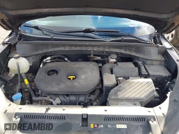 ✅ 2019 Hyundai Tucson SE • VIN: KM8J2CA48KU895729 • Лот: 43502823. Опубликован ранее на IAAI с пробегом 83 608 миль. Бесплатный доступ к архиву аукционных продаж из США и подробный отчёт об истории автомобиля на DreamBid. Изображение 10.