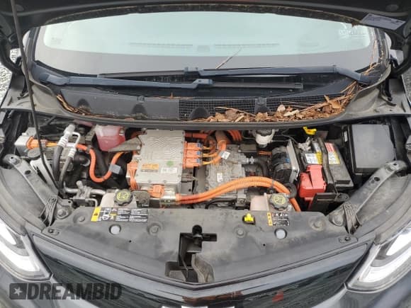 ✅ 2017 Chevrolet Bolt EV Premier • VIN: 1G1FX6S08H4187992 • Lot: 76591634. Wystawiony na Copart z przebiegiem 54 347 mil. Bezpłatny archiwum sprzedaży aukcyjnych z USA i szczegółowy raport historii pojazdu na DreamBid. Zdjęcie 12.