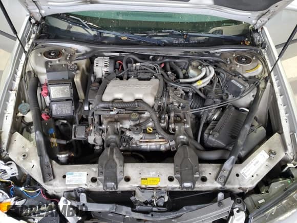 ✅ 2000 Chevrolet Impala • VIN: 2G1WF55E3Y9115955 • Lot: 93020025. Wystawiony na Copart z przebiegiem 152 909 mil. Bezpłatny archiwum sprzedaży aukcyjnych z USA i szczegółowy raport historii pojazdu na DreamBid. Zdjęcie 11.