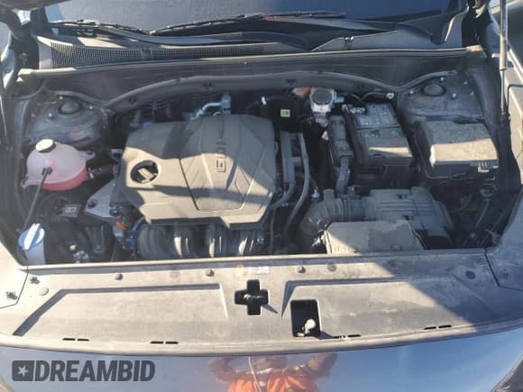 ✅ 2022 Hyundai Santa Fe SEL • VIN: 5NMS3DAJ2NH430389 • Lot: 58628994. Wystawiony na Copart z przebiegiem 27 518 mil. Bezpłatny archiwum sprzedaży aukcyjnych z USA i szczegółowy raport historii pojazdu na DreamBid. Zdjęcie 11.