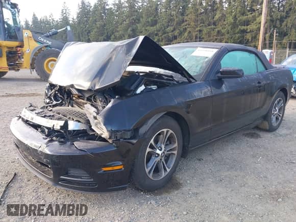 2014 Ford Mustang V6 с VIN 1ZVBP8EM9E5279440, выставлен на аукционе IAAI как лот 43498168 с пробегом 87 076 миль миль и . История ставок и продаж доступна на DreamBid. Изображение 17.