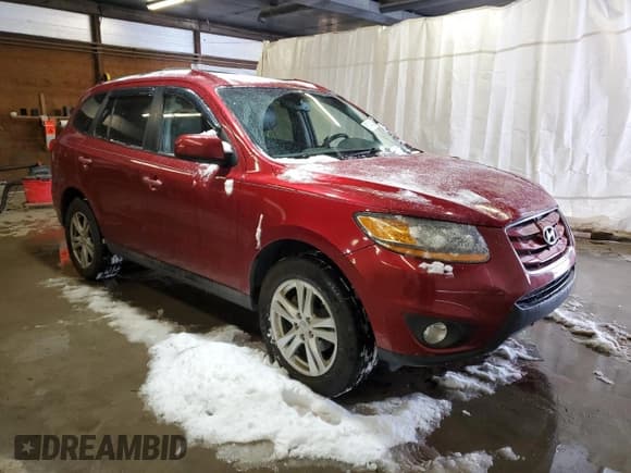 ✅ 2010 Hyundai Santa Fe SE • VIN: 5NMSHDAG9AH348322 • Lot: 83194104. Listed on Copart with 135,178 mi. Free auction sales archive from the USA and detailed vehicle history report at DreamBid. Image 4.